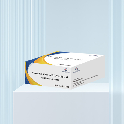 CVA16 Reagens diagnostyczny IVD Wirus Coxsackie A16 CVA16-IgM Kaseta przeciwciał WB/S/P Kolloidal Gold Rapid Test