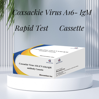 CVA16 Reagens diagnostyczny IVD Wirus Coxsackie A16 CVA16-IgM Kaseta przeciwciał WB/S/P Kolloidal Gold Rapid Test