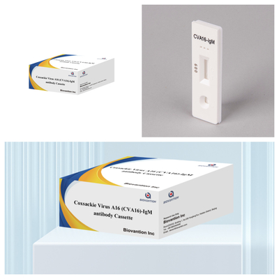 CVA16 Reagens diagnostyczny IVD Wirus Coxsackie A16 CVA16-IgM Kaseta przeciwciał WB/S/P Kolloidal Gold Rapid Test