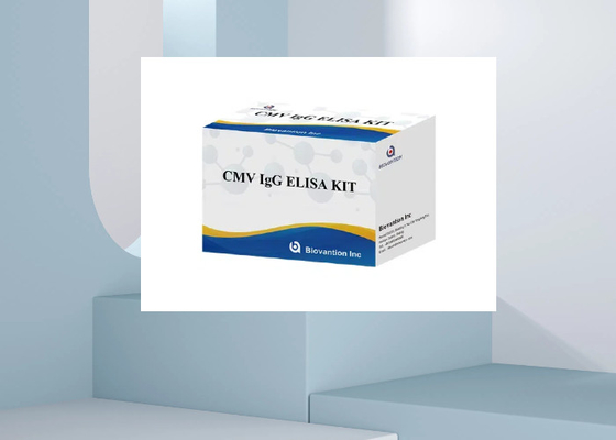 CMV IgG Elisa Test Kit ELISA Diagnostic Kit IgG przeciwciała przeciwko cytomegalovirusom