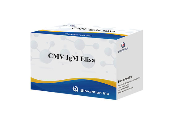CMV IgG Elisa Test Kit ELISA Diagnostic Kit IgG przeciwciała przeciwko cytomegalovirusom
