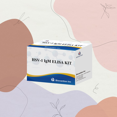 HSV-1 IgM Diagnoza medyczna Zestaw testowy Elisa z okresem ważności 18 miesięcy