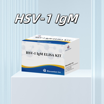 HSV-1 IgM Diagnoza medyczna Zestaw testowy Elisa z okresem ważności 18 miesięcy