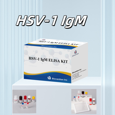 HSV-1 IgM Diagnoza medyczna Zestaw testowy Elisa z okresem ważności 18 miesięcy