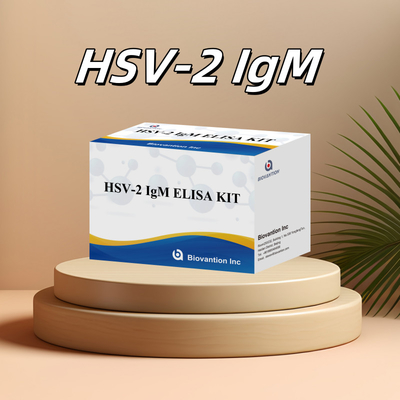 Wysokiej specyficzności zestaw badawczy Elisa HSV-2 IgM dla szybkich i precyzyjnych wyników odczynnika medycznego stosowanego u ludzi