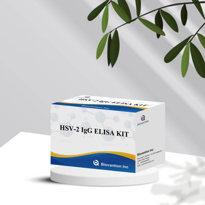 Międzynarodowo stosowany reagent diagnostyczny HSV-2 IgG 96 Testy ELISA Assay Kit do diagnostyki medycznej