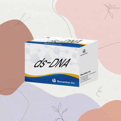 Biovantion ds-DNA Sensitivity ELISA Test Kit Reagens IVD do stosowania u ludzi