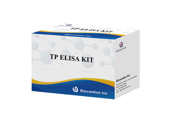 TP (Treponema pallidum) Ab ELISA Test Kit Syfilis SYP Immunosorbent związany z enzymem