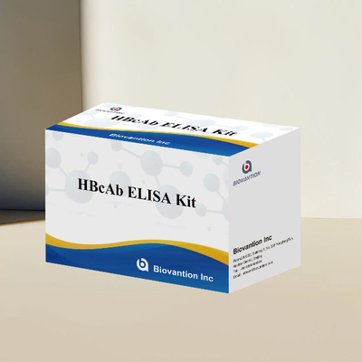 HBcAb ELISA Test Kit Assay Antibody Detection Kit Jakościowy