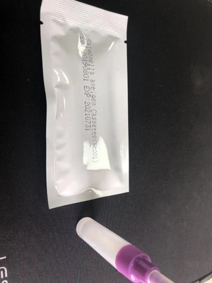 Kaseta szybkiego testu na Salmonellę IgG/IgM S. Typhoid Easy-to-Use Diagnostic Test Kit