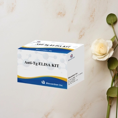 Zestaw badawczy antytg ELISA Tyroglobulina Ab In Vitro