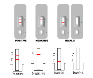 Wysokiej dokładności GAS Groud A Stretococcal Antigen Rapid Test Kit 50 testów Rapid Reading