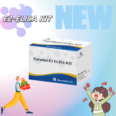 cena fabryczna Zestaw do badań E2 ELISA Wykrywanie w vitro Wykrywanie medyczne Wysoka precyzja