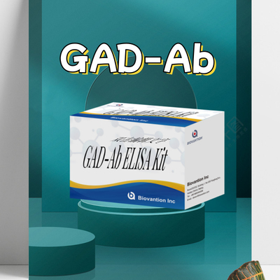 Badanie ELISA GAD Glutamic Acid Decarboxylase Antibody Medical Diagnostic reagent for human with 96 test