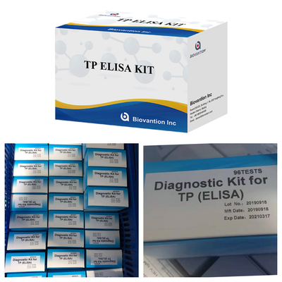 Test ELISA na syfilis antyciałowi Związany z enzymem immunologiczny zestaw testowy Elisa