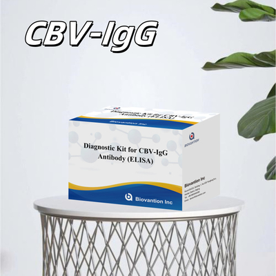 Wysoce specyficzne przeciwciała CBV-IgG wykrywające ludzkie zestawy Elisa do dokładnego wykrywania analit docelowych