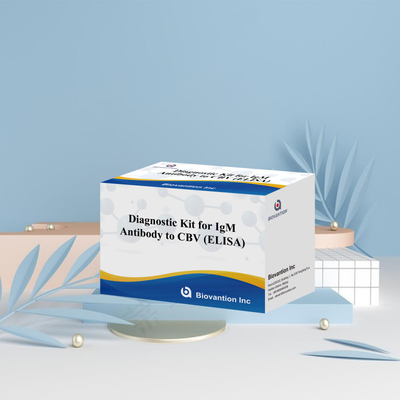 CBV igm ELISA KIT D reagent diagnostyczny 18 miesięcy Czas przydatności Test immunosorbentny związany z enzymem