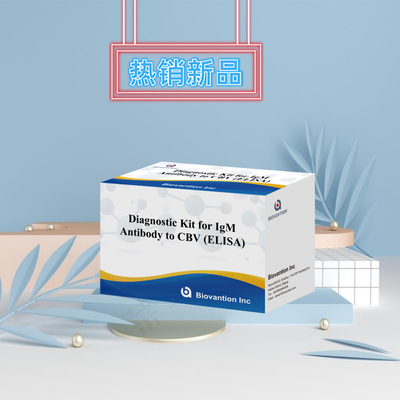 CBV igm ELISA KIT D reagent diagnostyczny 18 miesięcy Czas przydatności Test immunosorbentny związany z enzymem