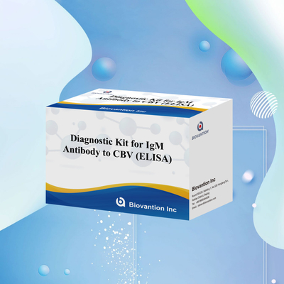 CBV igm ELISA KIT D reagent diagnostyczny 18 miesięcy Czas przydatności Test immunosorbentny związany z enzymem