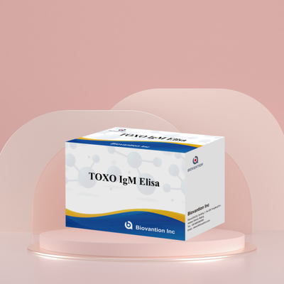 TOXO IgM Elisa Kit Do stosowania u ludzi Diagnostyczny zestaw testowy z 96 zestawami