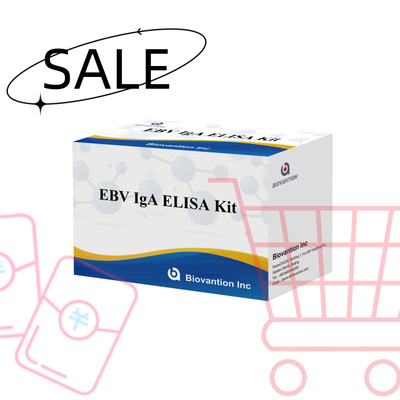 EBV HUMAN ELISA Test Kit 2-8°C Sensitivity Diagnostic Kit For IgA Antibody To EBV-EA