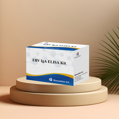 EBV HUMAN ELISA Test Kit 2-8°C Sensitivity Diagnostic Kit For IgA Antibody To EBV-EA