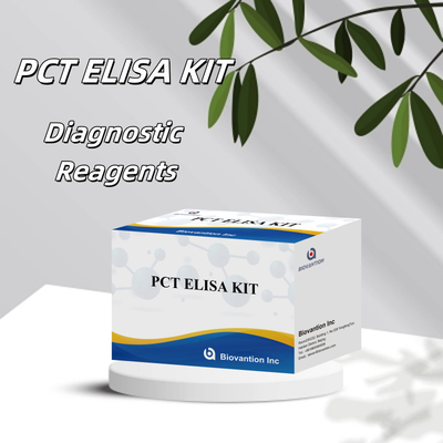 Wysoka dokładność PCT dla ludzkiej metody ELISA wykrywającej odczynnik z testem 96 dla szpitala