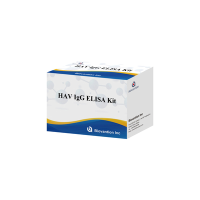 HAV IgG ELISA Test Reagent Kit 95% wrażliwość