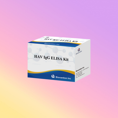 HAV IgG ELISA Test Reagent Kit 95% wrażliwość