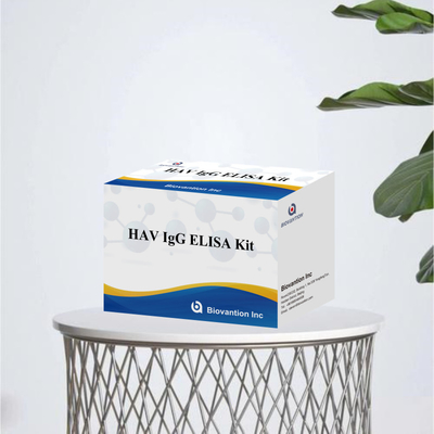 HAV IgG ELISA Test Reagent Kit 95% wrażliwość