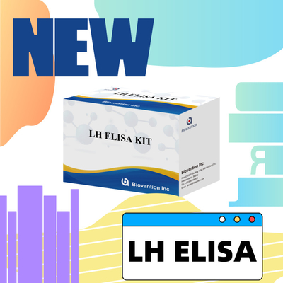 Biovantion Luteinizujący Hormon LH ELISA Test Kit Do Diagnozy