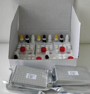 Laboratoryjne lub szpitalne zestawy testowe H. pylori IgG Elisa o wysokiej dokładności