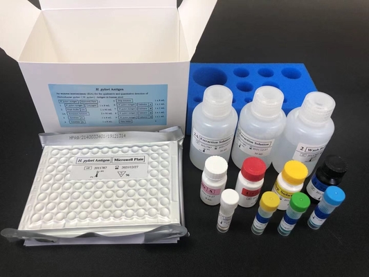 Helicobacter HP przeciwciała IgG ELISA Kit H.Pylori IgG