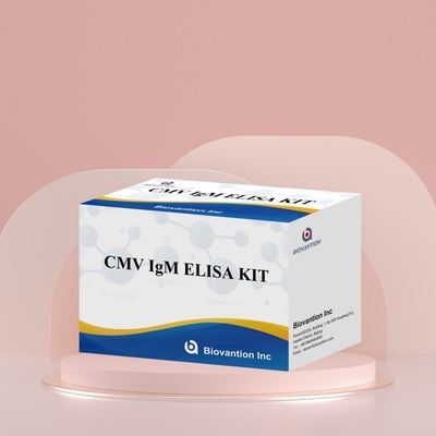 Biovantion High-Sensitivity CMV ELISA Reagent Kit do wykrywania przeciwciał przeciw cytomegalovirusom