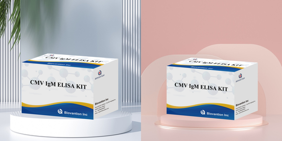Biovantion High-Sensitivity CMV ELISA Reagent Kit do wykrywania przeciwciał przeciw cytomegalovirusom