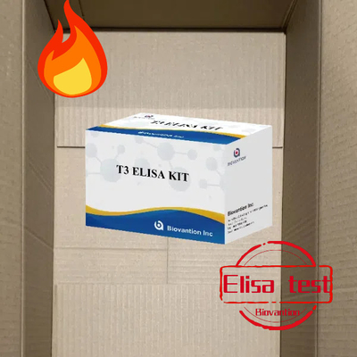 Zestaw badawczy T3 ELISAKlinika szpitala laboratoryjnego T3 trijodotyronina