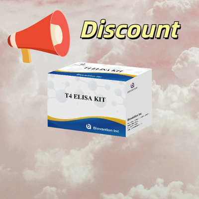 T4 Triiodotyronine Elisa Test Kit Powszechnie stosowany test hormonów tarczycy