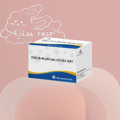 Zestawy do określania ilości TSH Elisa Reagent Serum Stymulujące tarczycę