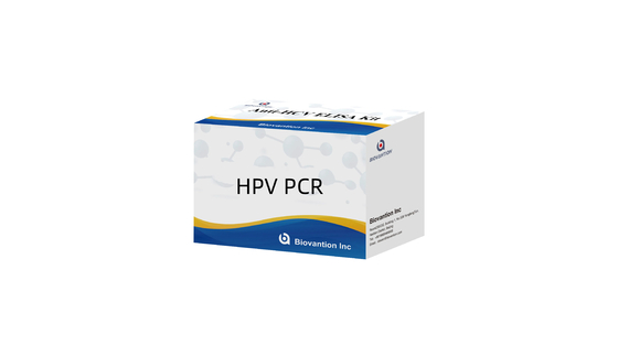 Zestaw do wykrywania wirusa brodawczaka ludzkiego HPV PCR Multiplex Instrukcje PCR w czasie rzeczywistym