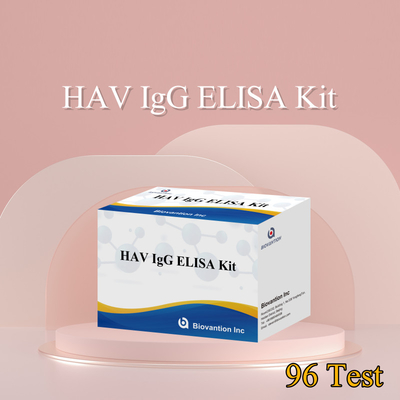 Wysoka wrażliwość HAV IgG ELISA Kit Dokładna wykrywalność wirusa wirusa wirusa A Niezawodny certyfikat CE dla zastosowań klinicznych i badawczych