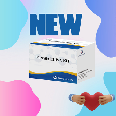 Biovantion Wysokiej wrażliwości Ferrytyna Elisa Test Kit Wykorzystanie próbek osocza ludzkiego w badaniach klinicznych i diagnostycznych