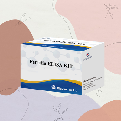 Biovantion Wysokiej wrażliwości Ferrytyna Elisa Test Kit Wykorzystanie próbek osocza ludzkiego w badaniach klinicznych i diagnostycznych