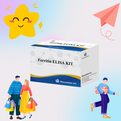Biovantion Wysokiej wrażliwości Ferrytyna Elisa Test Kit Wykorzystanie próbek osocza ludzkiego w badaniach klinicznych i diagnostycznych