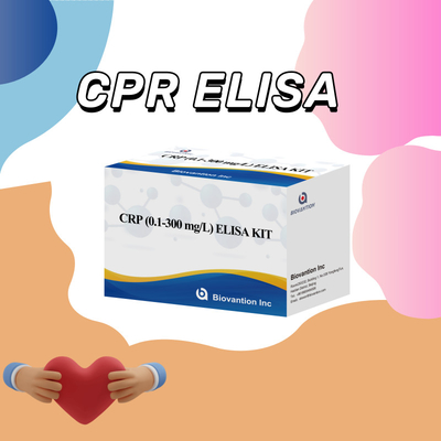 Precyzyjne CRP 0,1-300 Mg/L Elisa Test Kit for Sensitive Detection Of Biological Substances (Zestaw badawczy Elisa do czułego wykrywania substancji biologicznych)