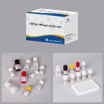 Precyzyjne CRP 0,1-300 Mg/L Elisa Test Kit for Sensitive Detection Of Biological Substances (Zestaw badawczy Elisa do czułego wykrywania substancji biologicznych)