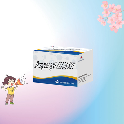 Wysokiej wydajności zestaw testowy IgG Elisa na gorączkę denga dla wrażliwych i specyficznych wyników