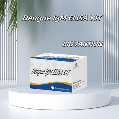 Innowacyjny zestaw testowy IgM Elisa na gorączkę denga do dokładnego wykrywania i monitorowania chorób w warunkach klinicznych
