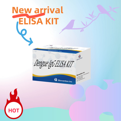 Dengue IgG ELISA Kit 96 Testy ludzkiego surowicy wrażliwość plazmy > 99%