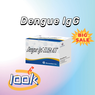 Dengue IgG ELISA Kit 96 Testy ludzkiego surowicy wrażliwość plazmy > 99%
