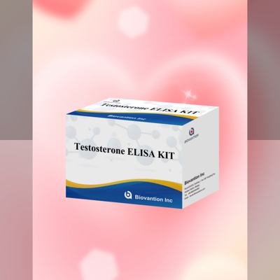 Test przeciwciał testosteronu dokładny i wrażliwy